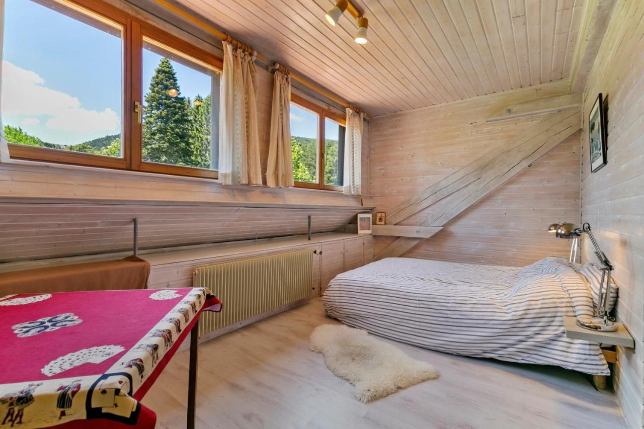 Chalet Spacieux A Wangenbourg-Engenthal Avec Vue Panoramique 外观 照片